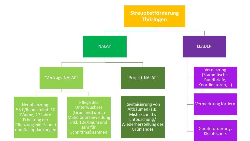Förderung Streuobst Thüringen